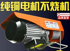 微型電動葫蘆